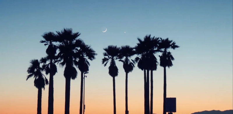 Новолуние: правила жизни