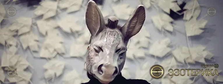 Практика взаимодействия с низковибрационными людьми: «Какое ты животное!?»