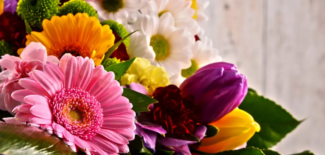 Топ-12 самых красивых цветов