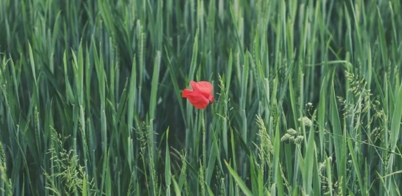 Рекомендуемая практика в первую фазу цикла (Упражнения)