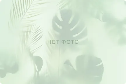 Работа с мыщцами тазового дна